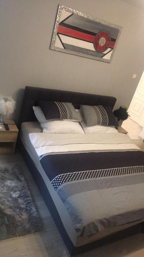 Studio apartman Ana Osijek Bagian luar foto